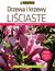 Książka ePub Drzewa i krzewy liÅ›ciaste. Katalog - Katarzyna Åazucka-CegÅ‚owska, Maciej Mynett