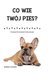 Książka ePub Co wie TwÃ³j pies? | ZAKÅADKA GRATIS DO KAÅ»DEGO ZAMÃ“WIENIA - Collins Sophie