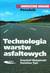 Książka ePub Technologia warstw asfaltowych - BÅ‚aÅ¼ejowski Krzysztof, Styk StanisÅ‚aw