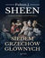 Książka ePub Siedem grzechÃ³w gÅ‚Ã³wnych - Fulton Sheen