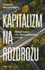 Książka ePub Kapitalizm na rozdroÅ¼u - Klementewicz Tadeusz