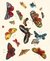 Książka ePub Karnet 17x14cm z kopertÄ… Butterfly design decoration - brak