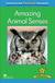 Książka ePub Factual: Amazing Animal Sense 2+ - Llewellyn Claire