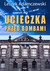 Książka ePub Ucieczka przed bombami Leszek Adamczewski - zakÅ‚adka do ksiÄ…Å¼ek gratis!! - Leszek Adamczewski