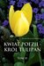 Książka ePub Kwiat poezji - krÃ³l tulipan - Krystian Krzysztof Jankiewicz