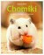 Książka ePub Chomiki - brak