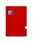 Książka ePub Brulion A5/96K kratka Esse czerwony (5szt) - brak