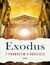 Książka ePub Exodus. 7 proroctw o KoÅ›ciele - Wincenty Åaszewski