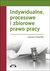 Książka ePub Indywidualne, procesowe i zbiorowe prawo pracy - brak