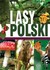 Książka ePub Lasy Polski Ewa Giermek - zakÅ‚adka do ksiÄ…Å¼ek gratis!! - Ewa Giermek