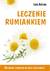 Książka ePub Leczenie rumiankiem - Lidia Kostina