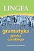Książka ePub Gramatyka jÄ™zyka czeskiego - zbiorowa Praca