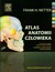 Książka ePub Atlas anatomii czÅ‚owieka - Netter Frank H.