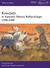 Książka ePub Krucjaty w basenie Morza BaÅ‚tyckiego 1100-1500 - Lindholm David, Nicolle David