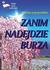 Książka ePub Zanim nadejdzie burza - Praca zbiorowa