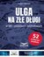 Książka ePub Ulga na zÅ‚e dÅ‚ugi w VAT i podatkach dochodowych - Grzegorz ZiÃ³Å‚kowski