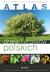 Książka ePub Atlas drzew i krzewÃ³w polskich - brak