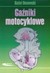 Książka ePub GaÅºniki motocyklowe - RafaÅ‚ Dmowski