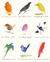 Książka ePub Karnet 17x14cm z kopertÄ… Drawings of comic birds - brak