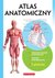 Książka ePub Atlas anatomiczny w.2016 - brak