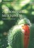 Książka ePub Rok z Thomasem Mertonem. Codzienne medytacje - Thomas Merton