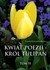 Książka ePub Kwiat poezji - krÃ³l tulipan Krystian Krzysztof Jankiewicz ! - Krystian Krzysztof Jankiewicz