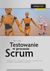 Książka ePub Testowanie w procesie Scrum - Linz Tilo