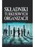 Książka ePub SkÅ‚adniki turkusowych organizacji - brak