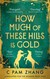Książka ePub How Much of These Hills is Gold - Zhang C Pam