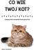 Książka ePub Co wie TwÃ³j kot? Poznaj sposÃ³b rozumienia Å›wiata przez koty - Sally Morgan