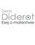 Książka ePub Esej o malarstwie - Denis Diderot