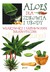 Książka ePub Aloes Dla Zdrowia i Urody. WÅ‚aÅ›ciwoÅ›ci i Zastosowanie Terapeutyczne [KSIÄ„Å»KA] - Opracowanie zbiorowe