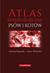 Książka ePub Atlas hematologiczny psÃ³w i kotÃ³w - brak