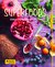 Książka ePub Superfoods Å¹rÃ³dÅ‚o energii prosto z natury. - Bingemer Susanna