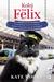 Książka ePub Kolej na felix prawdziwa historia kotki ktÃ³ra czuje pociÄ…g do przygÃ³d - brak