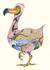 Książka ePub Karnet A108 B6 + koperta Ptak dodo - brak