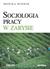 Książka ePub Socjologia pracy w zarysie | ZAKÅADKA GRATIS DO KAÅ»DEGO ZAMÃ“WIENIA - Budnik Monika