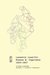 Książka ePub Lwowskie czwartki Romana W. Ingardena 1934âˆ’1937. W krÄ™gu problemÃ³w estetyki i filozofii literatury - Roman Ingarden