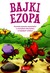 Książka ePub Bajki Ezopa - Ezop [KSIÄ„Å»KA] - Ezop