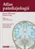 Książka ePub Atlas patofizjologii - Silbernagl Stefan, Lang Florian