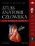 Książka ePub Netter Atlas anatomii czÅ‚owieka - brak