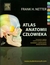 Książka ePub Atlas anatomii czÅ‚owieka Henry Frank Netter - darmowa dostawa! - Henry Frank Netter