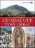 Książka ePub Guadalupe - brak