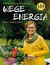Książka ePub Wege energia - Katarzyna GubaÅ‚a