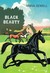 Książka ePub Black Beauty | ZAKÅADKA GRATIS DO KAÅ»DEGO ZAMÃ“WIENIA - Sewell Anna