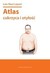 Książka ePub Atlas cukrzyca i otyÅ‚oÅ›Ä‡ Luis Raul Lepori ! - Luis Raul Lepori