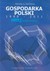 Książka ePub Gospodarka Polski 1990-2011 - brak