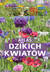 Książka ePub Atlas dzikich kwiatÃ³w - MaÅ‚gorzata Mederska, PaweÅ‚ Mederski
