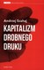 Książka ePub Kapitalizm drobnego druku - Szahaj Andrzej
