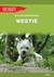 Książka ePub Westie. West highland white terrier - BÅ‚aszczyÅ„ska Eva